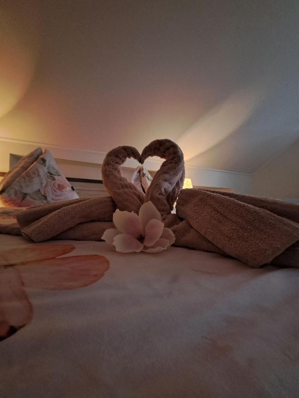 Vila Harmonia Turčianske Teplice エクステリア 写真